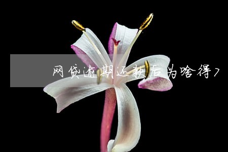 网贷逾期还款后为啥得72小时 网贷逾期还款后为啥得72小时