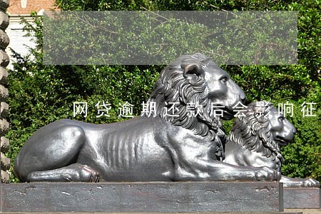 网贷逾期还款后会影响征信吗 网贷逾期还款后会影响征信吗