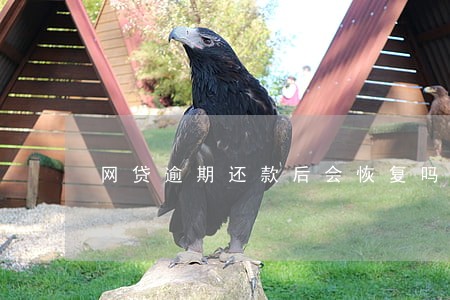 网贷逾期还款后会恢复吗 网贷逾期还款后会恢复吗