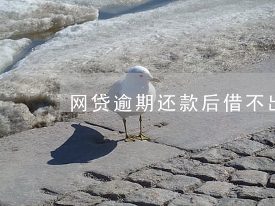 网贷逾期还款后借不出来 网贷逾期还款后借不出来