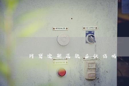 网贷逾期还款后征信吗 网贷逾期还款后征信吗