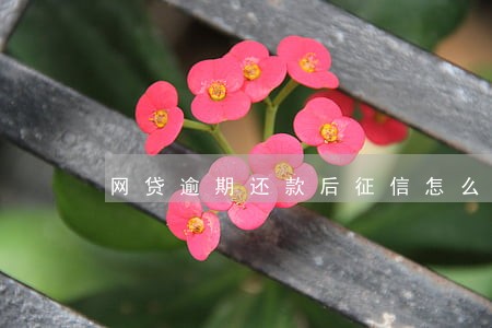 网贷逾期还款后征信怎么恢复 网贷逾期还款后征信怎么恢复