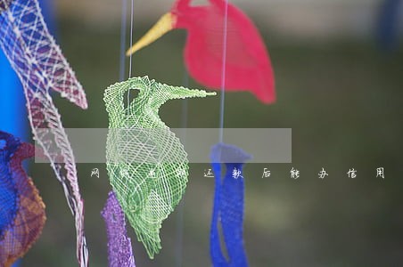 网贷逾期还款后能办信用卡吗 网贷逾期还款后能办信用卡吗