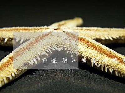 网贷逾期还款咨询哪里 网贷逾期还款咨询哪里