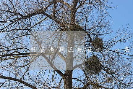网贷逾期还款在app安全吗 网贷逾期还款在app安全吗