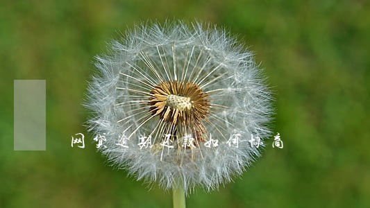 网贷逾期还款如何协商 网贷逾期还款如何协商