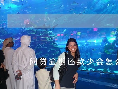 网贷逾期还款少会怎么样 网贷逾期还款少会怎么样