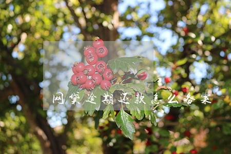 网贷逾期还款怎么备案 网贷逾期还款怎么备案
