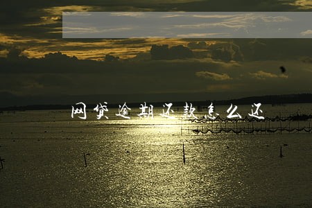 网贷逾期还款怎么还 网贷逾期还款怎么还