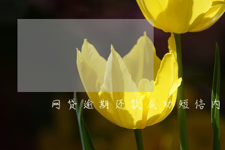 网贷逾期还款成功短信内容 网贷逾期还款成功短信内容