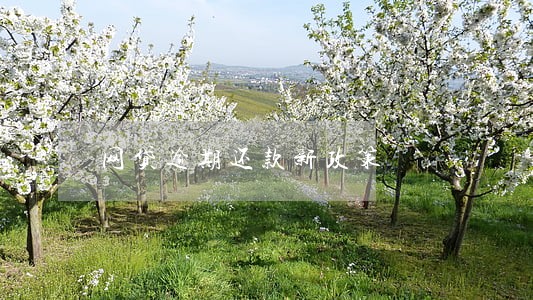 网贷逾期还款新政策 网贷逾期还款新政策
