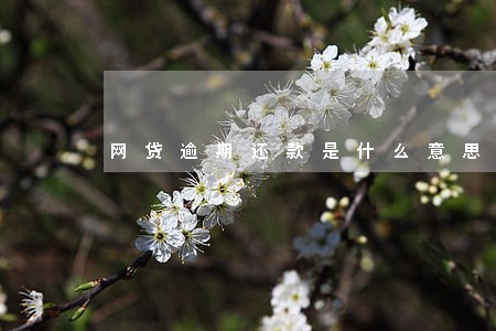 网贷逾期还款是什么意思 网贷逾期还款是什么意思