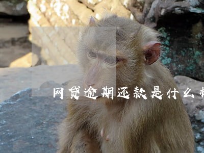 网贷逾期还款是什么样 网贷逾期还款是什么样