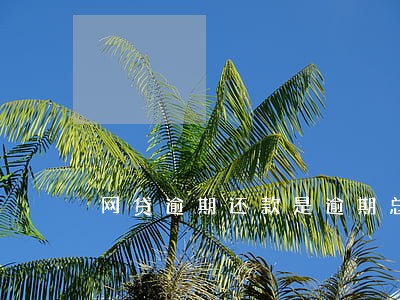 网贷逾期还款是逾期总额吗 网贷逾期还款是逾期总额吗