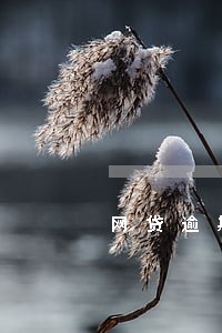 网贷逾期还款有减免利息吗 网贷逾期还款有减免利息吗