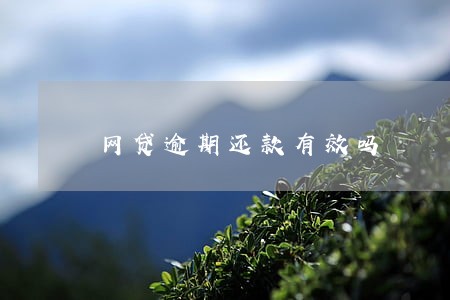 网贷逾期还款有效吗 网贷逾期还款有效吗
