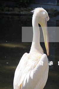网贷逾期还款未还 网贷逾期还款未还