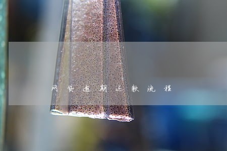 网贷逾期还款流程 网贷逾期还款流程