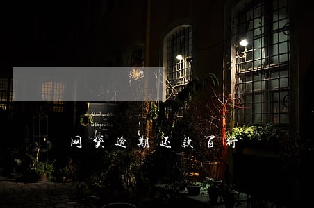 网贷逾期还款百行 网贷逾期还款百行