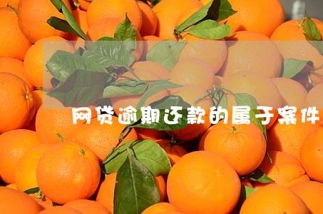 网贷逾期还款的属于案件吗 网贷逾期还款的属于案件吗