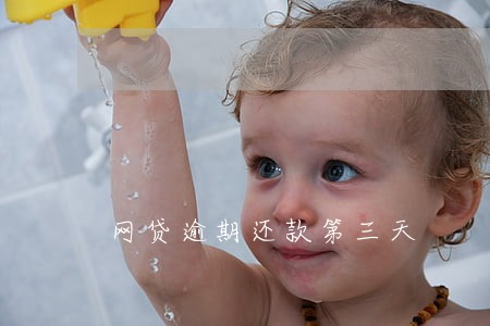 网贷逾期还款第三天