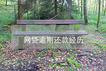 网贷逾期还款经历 网贷逾期还款经历