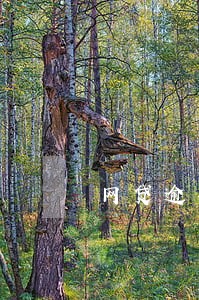 网贷逾期还款翻倍 网贷逾期还款翻倍