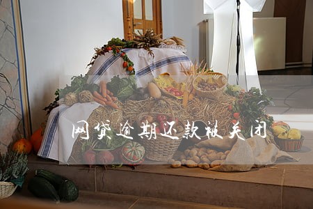 网贷逾期还款被关闭 网贷逾期还款被关闭