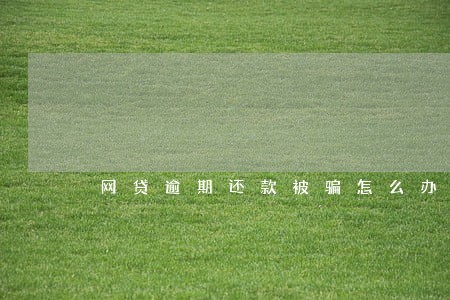 网贷逾期还款被骗怎么办 网贷逾期还款被骗怎么办