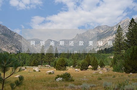 网贷逾期还款要转账 网贷逾期还款要转账