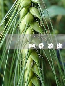 网贷逾期还款计划 网贷逾期还款计划
