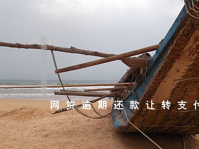网贷逾期还款让转支付宝 网贷逾期还款让转支付宝