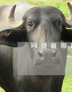 网贷逾期还款金额翻倍怎么办 网贷逾期还款金额翻倍怎么办