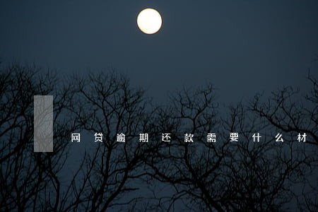 网贷逾期还款需要什么材料