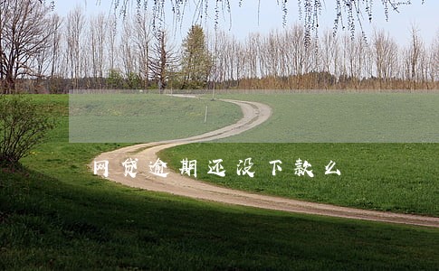 网贷逾期还没下款么 网贷逾期还没下款么