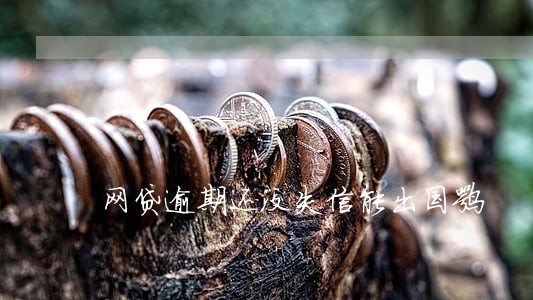 网贷逾期还没失信能出国嘛 网贷逾期还没失信能出国嘛