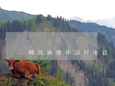 网贷逾期还没打电话 网贷逾期还没打电话