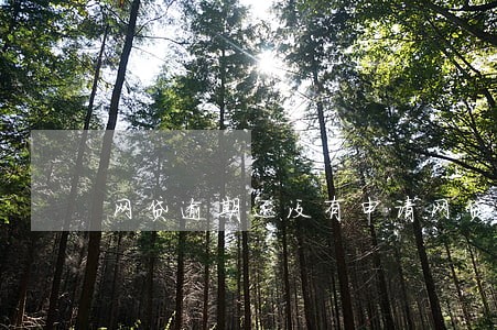 网贷逾期还没有申请网贷 网贷逾期还没有申请网贷