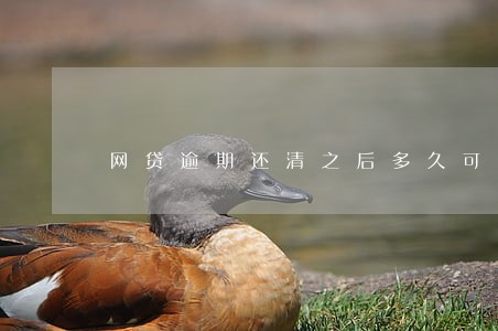 网贷逾期还清之后多久可以贷款 网贷逾期还清之后多久可以贷款