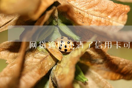 网贷逾期还清了信用卡可以办嘛 网贷逾期还清了信用卡可以办嘛