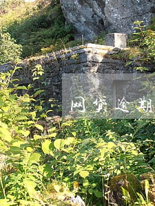网贷逾期还清了信用卡多久能解冻