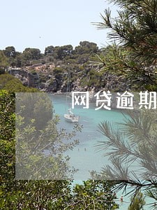 网贷逾期还清了可以房贷吗