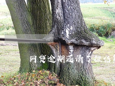 网贷逾期还清了征信复议