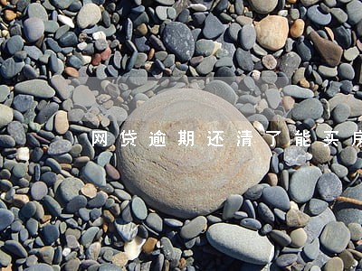 网贷逾期还清了能买房么 网贷逾期还清了能买房么