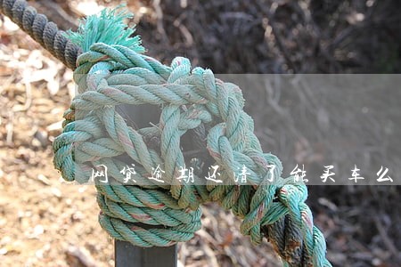 网贷逾期还清了能买车么 网贷逾期还清了能买车么