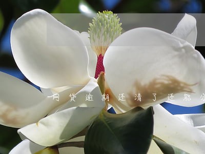 网贷逾期还清了还能分期吗