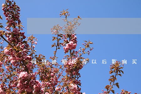 网贷逾期还清以后影响买房吗 网贷逾期还清以后影响买房吗