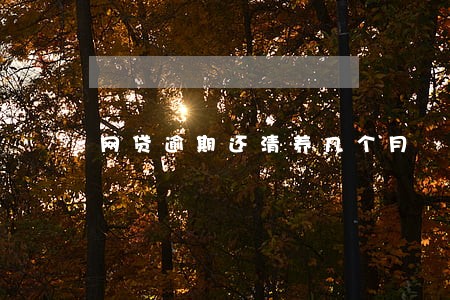 网贷逾期还清养几个月 网贷逾期还清养几个月