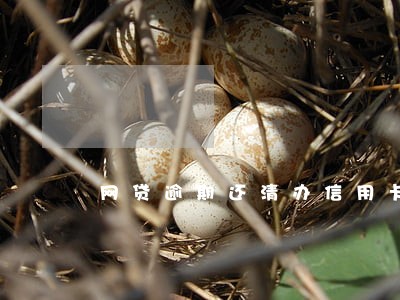网贷逾期还清办信用卡 网贷逾期还清办信用卡