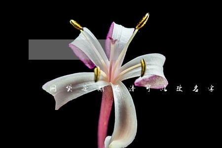 网贷逾期还清可以改名字吗